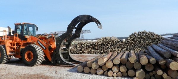 RusForest продала ЛДК-3 и может консолидироваться с «Лесресурсом» RusForest продала ЛДК-3 и может консолидироваться с «Лесресурсом»